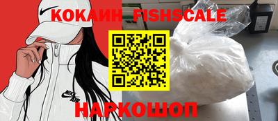 гашик Кимры