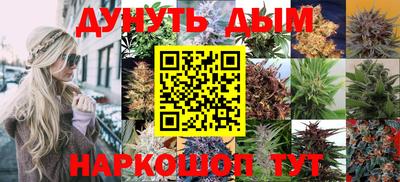 гашик Кимры