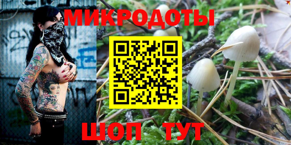 Псилоцибиновые грибы прущие грибы  Вход с VPN  Лабинск  Галлюциногенные грибы Psilocybe 
