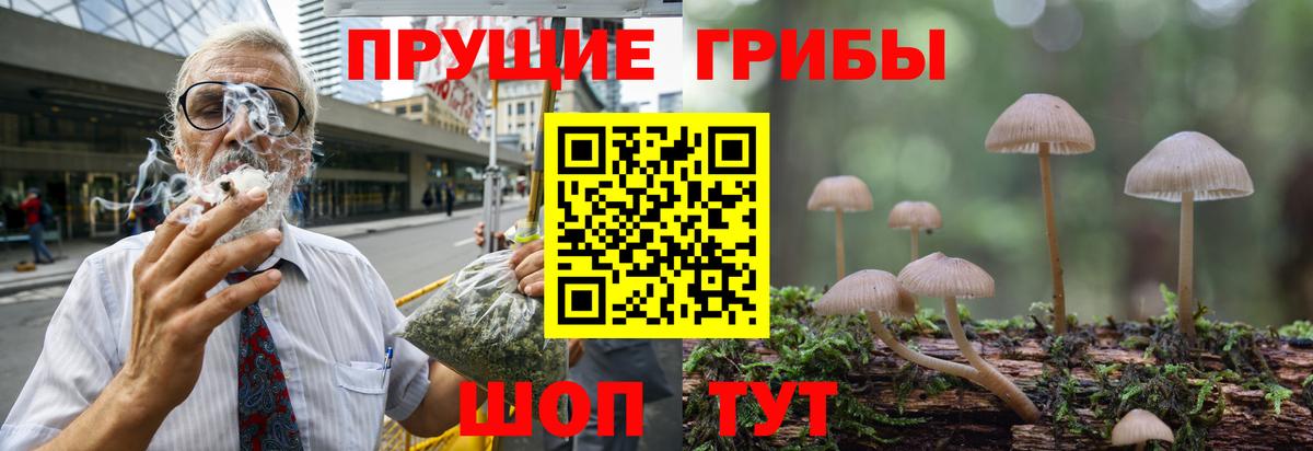 Галлюциногенные грибы прущие грибы Лабинск